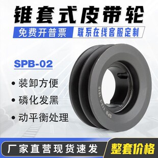 SPB双槽B型SPB-02 欧标锥套皮带轮 spa b c z三角皮带盘铸铁