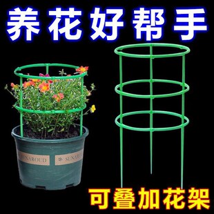 双层花架支撑拼接支架护叶倒伏嫁接聚拢蟹爪兰防兰花架多层金钱树