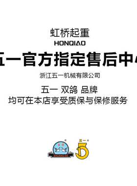 双鸽牌电动葫芦DHT-Z型环链电动提升机 直供2T3T5吨环链电葫芦