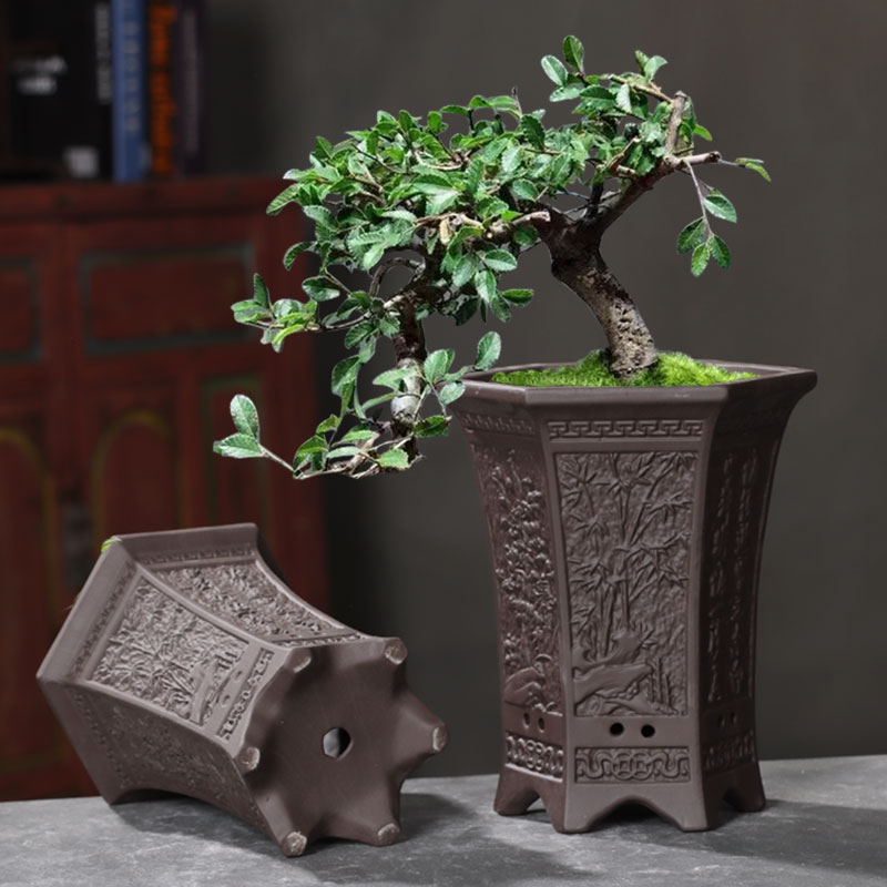 兰花花盆绿植盆景大口q径兰花专用盆高盆六角紫砂花盆精品陶瓷花