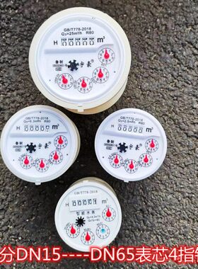 家用水表芯机芯内芯塑料4指针4分6分1寸2寸DN15DN20DN25DN40DN50