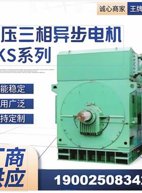 厂家直销YS8001-45000W6000V6V1500rpm高压电机
