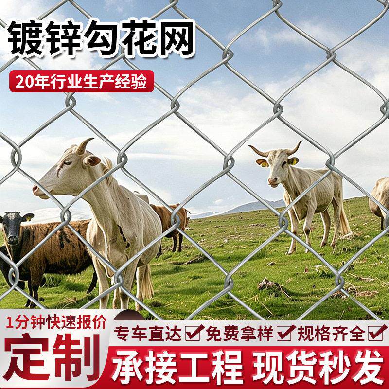热镀锌六角网拧花铁丝网家禽养殖围栏网河道防护网圈山隔离勾花网