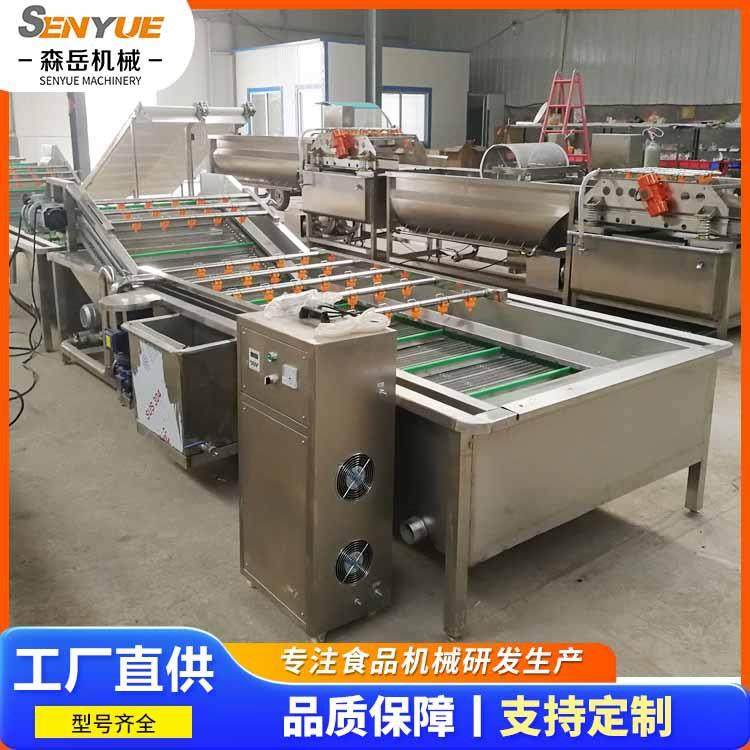 工厂用果蔬气泡清洗机雪里蕻清洗风干线梅干菜鼓泡翻浪清洗机