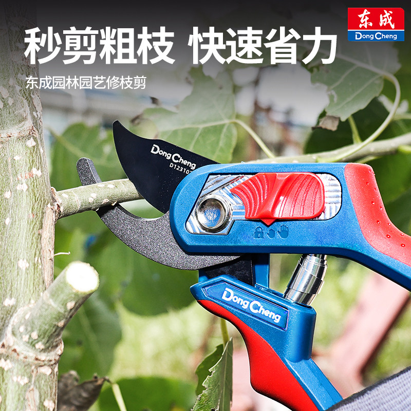 东成园林园艺剪修剪花卉果树树枝剪枝修枝剪专用剪刀花剪剪花剪子图片