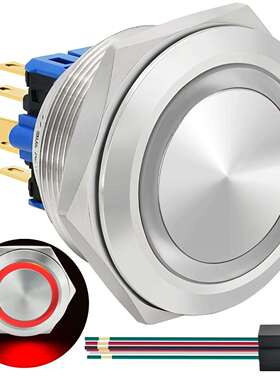 30毫米锁闭按钮开关大按钮开关DPDT/SPDT防水IP67带24VLE