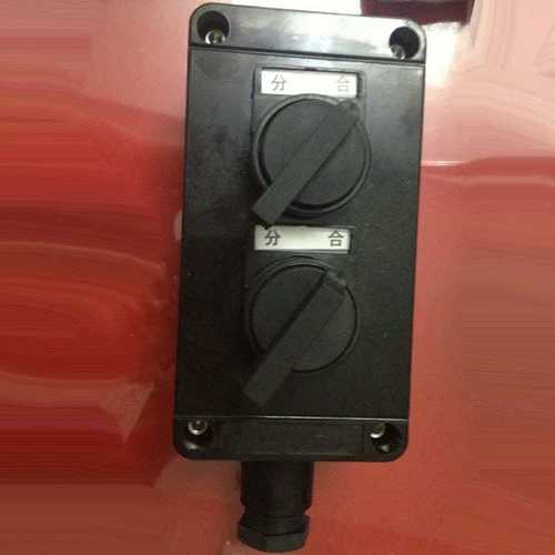 BZM-10系列防爆双联照明开关IIB SW-10防爆双开 防爆双联开关BZW