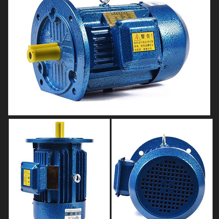 YE2YE3Y2Y立式三相电机三相电动机1.5W--2.2W/2极/4极/
