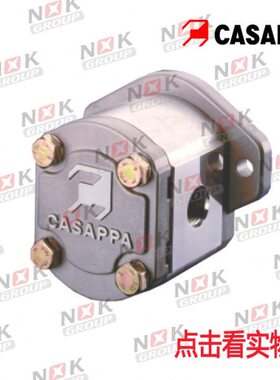 意大利CASAPPA齿轮泵PLP20.6.3D0（20.11.2D0 20.14D0 20.20D0）