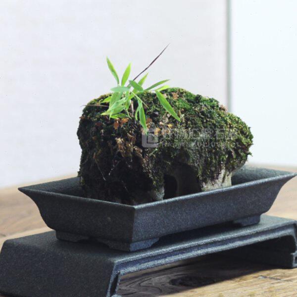 青石盆菖蒲竹子专用盆苔藓上水石盆明清复古办公茶几简约石头花盆