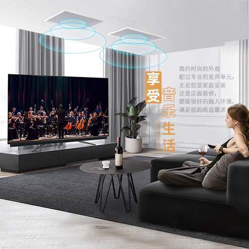 Hivi/惠威 VR8-W 吸顶喇叭吊顶音箱天花喇叭嵌入式环绕立体声音响