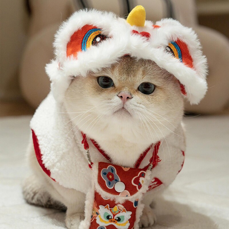 猫咪帽子新年装扮宠物过年舞狮帽子头饰马年拜年变装喜庆头套保暖