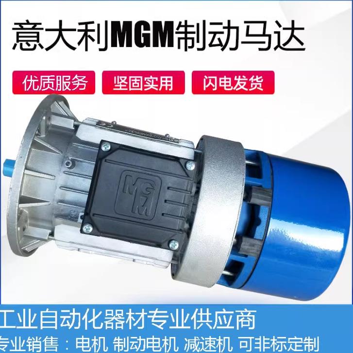供应意大利MGM制动刹车电机BA90S60.75KWB3/B5/B14