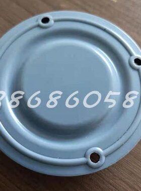 米顿罗电磁泵膜 B146-313TI  B129 B398 P066 B136 P756 C126B926