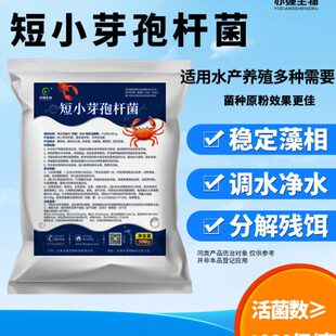 短小芽孢杆菌水产养殖冬天环境低温污水处理水体底质微生物菌种