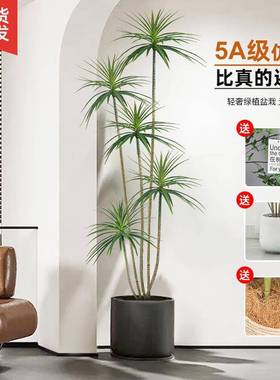 L-101270植假植物轻奢客厅装饰室树内大型绿盆栽龙血树落地件仿摆