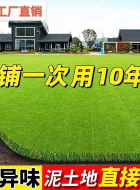 坪地草坪人工料塑假户外人绿造幼儿园工程草围AL102717挡草坪绿地