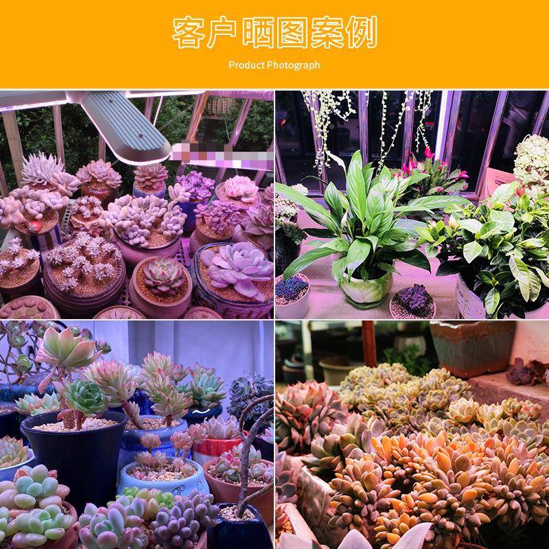 全光TWE谱植物生长灯折叠款红绿蓝家用室照内植日灯花卉多肉补光