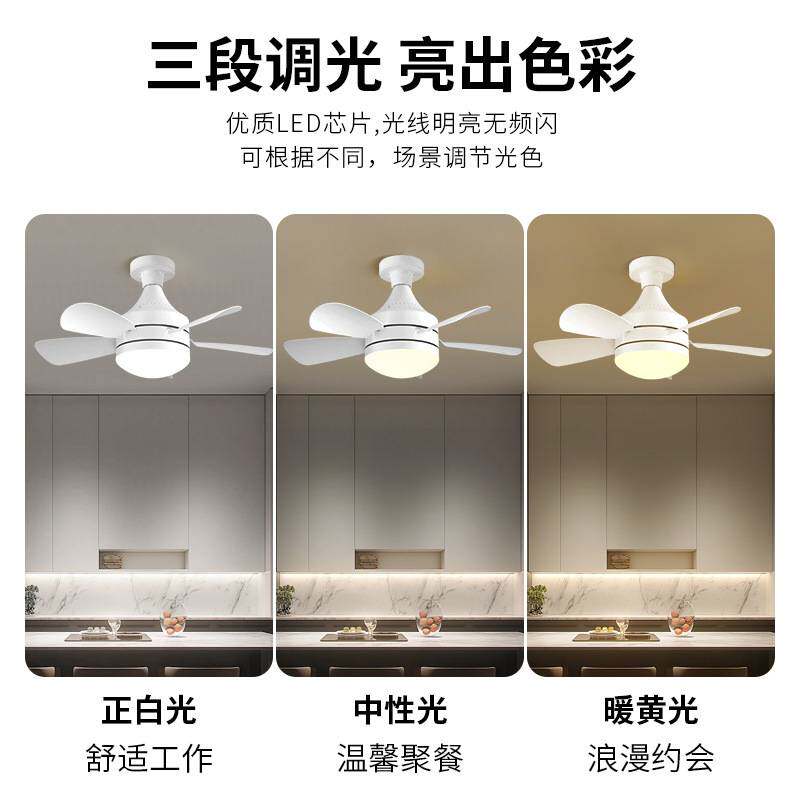 跨境新款吸顶风扇灯餐厅极简风卧室客厅扇叶可拆卸灯扇一体吊扇灯