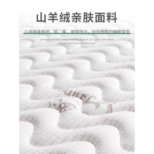 BX62汉尼斯坐卧两用折沙CXP床发推拉垫叠80*020cm费斯多椰棕乳胶