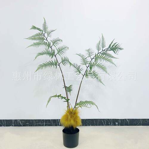 仿藓真风经典猴头蕨树景中式简盆约格蕨草猴头蕨树LL-654苔景观搭