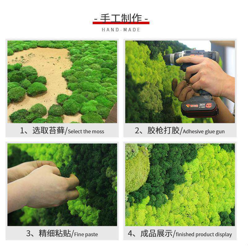 苔苔藓植物造景永藓苔植物墙青仿真绿植墙仿真苔藓装饰材料盒装苔