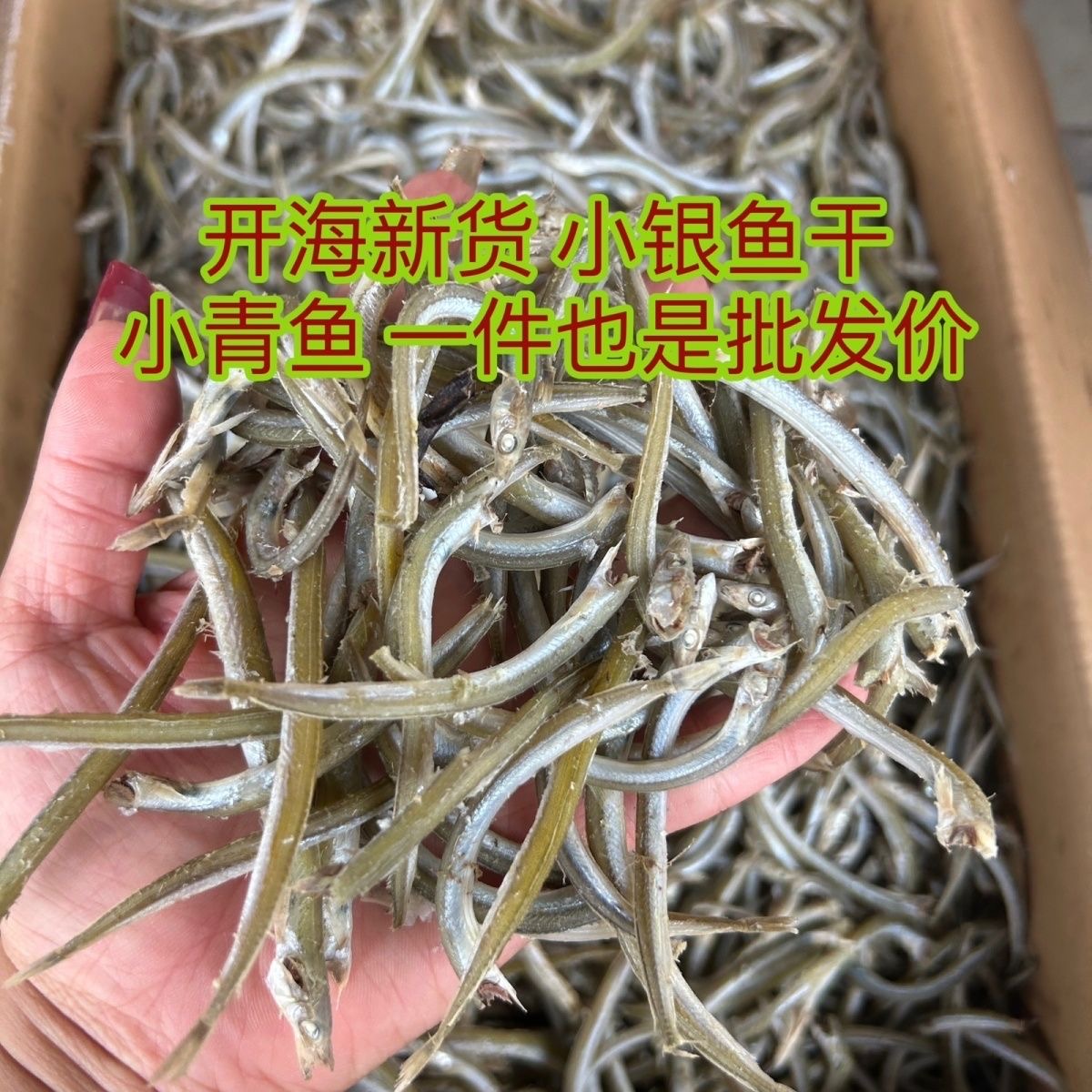 青鱼特产渤海面条自晒咸鱼银鱼自然凉晒整箱海燕鱼干银针海鲜干货