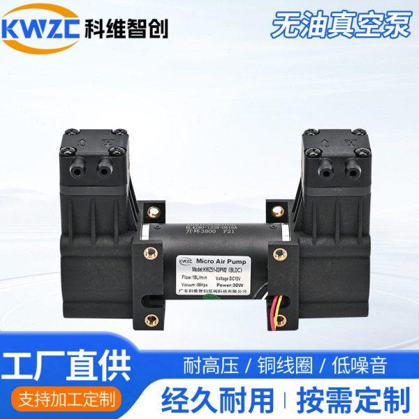 51-02PM2美容仪双头有刷小型负压泵 24V无油膜片静音吸气泵,五金/工具,其它泵类型,淘宝优惠券,粉丝福利购,淘宝优惠卷