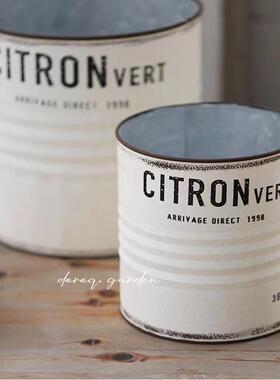 艺家居BL16520A日常观花赏盆园艺插花盆花园镀锌板铁艺花盆家居装