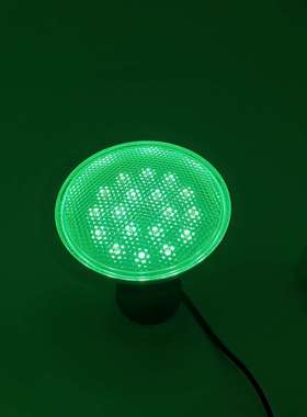 LED 绿光 PAR38 12w 15w  铝外壳帕灯 PAR灯 户外绿色防水