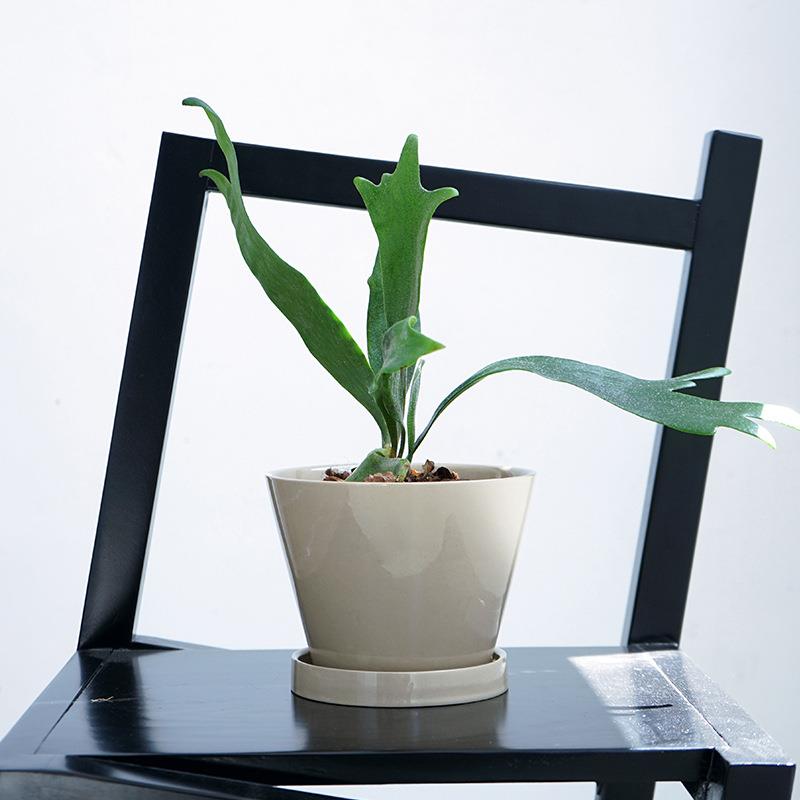 日式复古栽套盆盆蝶轻奢釉面兰花蝴兰专用花绿色家用HJD041S盆陶