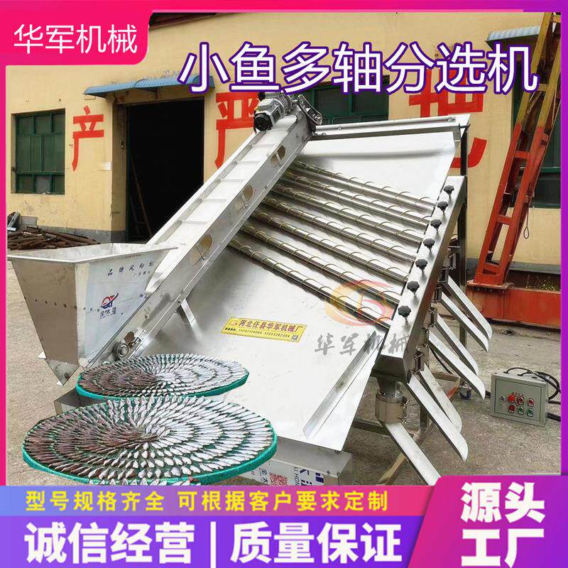 全自动小鱼分选机鱼虾分级机 不锈钢小鱼振动分筛机自动分离设备