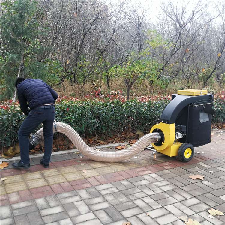 公园小区手推式树叶收集器 落叶吸叶机 草坪树叶清扫器