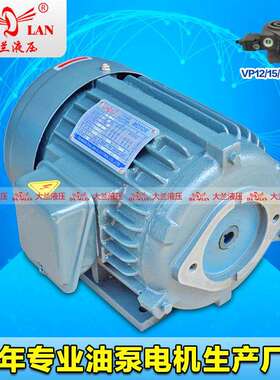 1.5KW2.2KW大兰DALAN液压VP20油泵专用电机组 DL-802-4-0.75KW