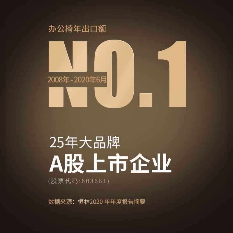 恒林水母电脑椅家用学习椅书桌椅转椅靠背人体工学椅办公座椅