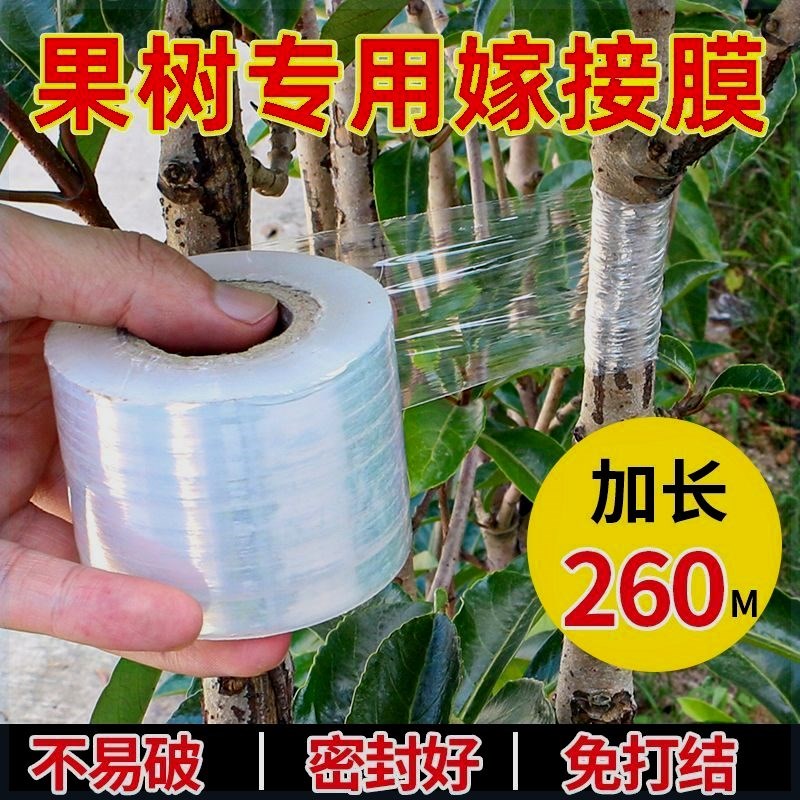 嫁接专用膜果树嫁接PE缠绕膜外卖包装膜打结透明拉伸农用养殖膜