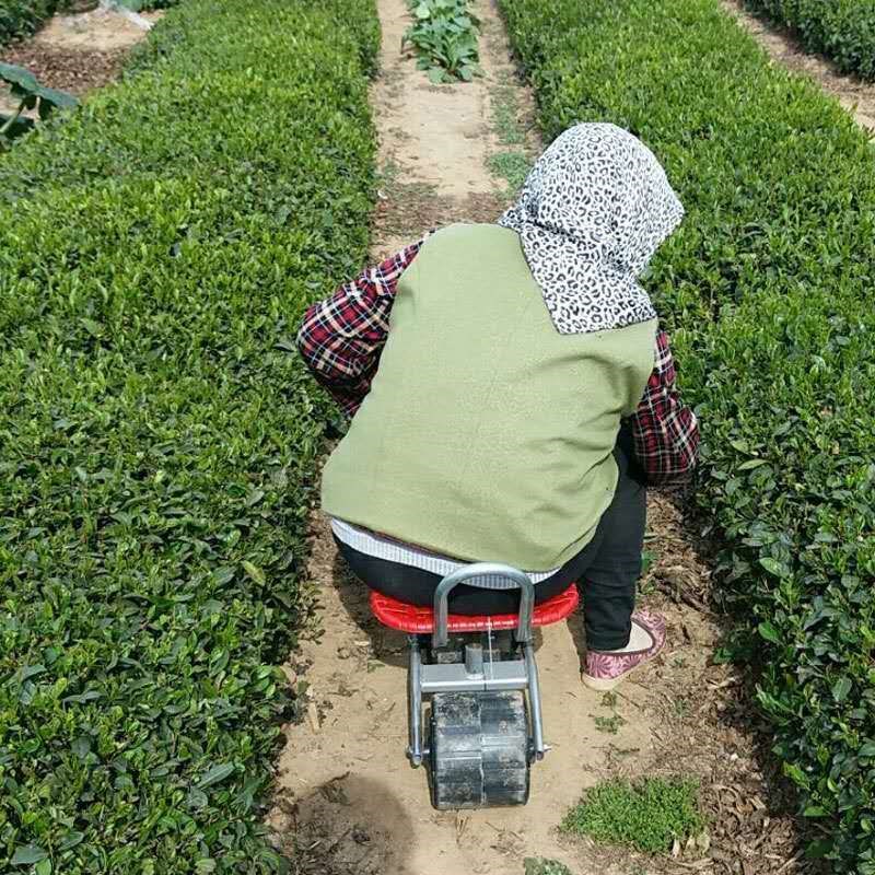 懒人汉车地里旋转升降神器凳子车大棚采摘移动农用小带轮坐的干活