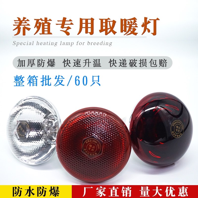 养殖取暖保温灯育雏暖光取暖灯泡养殖小鸡加热畜牧业养殖场猪仔