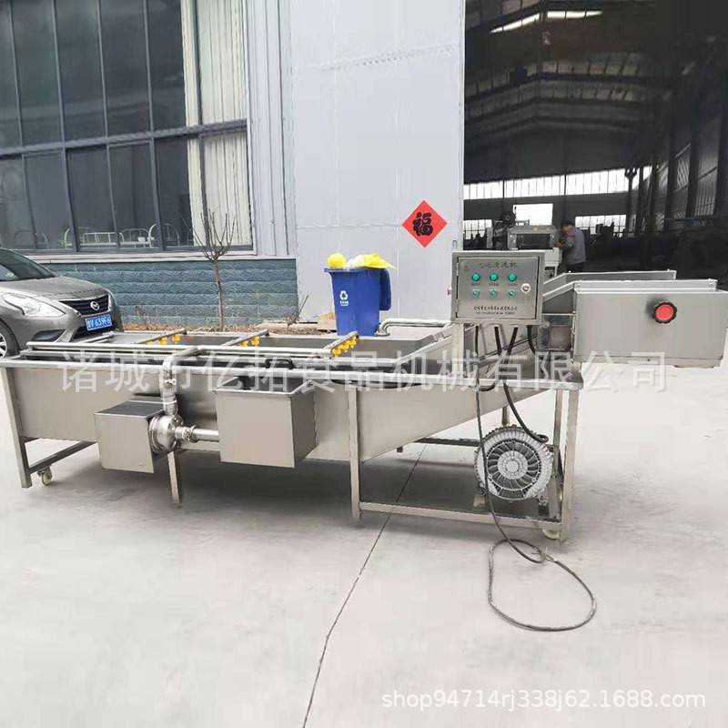 直销喷淋式草莓辣椒洗菜机叶类青菜高压喷淋设备定做果蔬清洗机