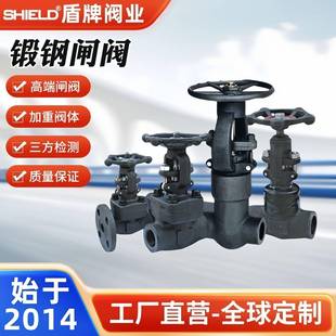 一体式后阀座锻钢闸阀低温加长式压力密封手动焊接闸阀