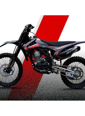 ATV越野两轮摩托车成人汽油四冲程250CC发动机赛道极盗者1R-2020