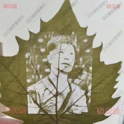 30片雕专梧用叶子激光手工梧叶桐,fis7SrRE干燥叶平整叶雕桐叶叶