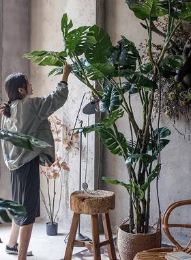 地型龟背HH17862树盆景仿真绿植龟背大竹地面装假绿饰植客厅落摆