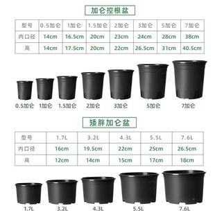 加仑黑盆料控根盆栽月季 色种植育苗料二塑代塑0003花盆