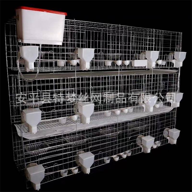 鸽鸽笼鸽子笼子养殖笼EZT笼笼子鸽笼16位鸽全套子笼具