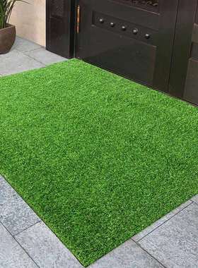 真彩 绿色草坪地垫进门家用入户门脚垫阳台防水户外仿真绿草垫子