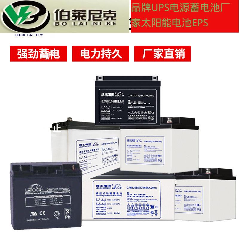 LEOCH理士铅酸免维护蓄电池12V100AH DJM12100计算机系统原装