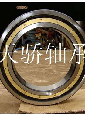 61830M 天骄薄壁轴承 TJU