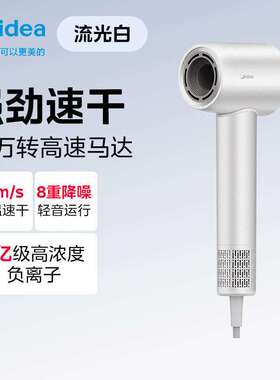 高速吹风机低噪家用电吹风宿舍风筒FG208