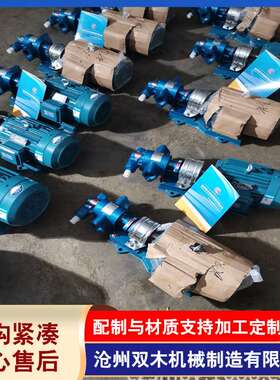 不锈钢KCB系列齿轮泵KCB-200泵头2CY12/0.36齿轮输油泵厂家供应